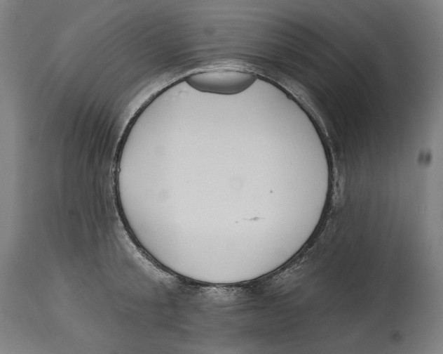 X0000114440805200911131514