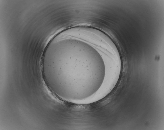 X0000114440806200911131514