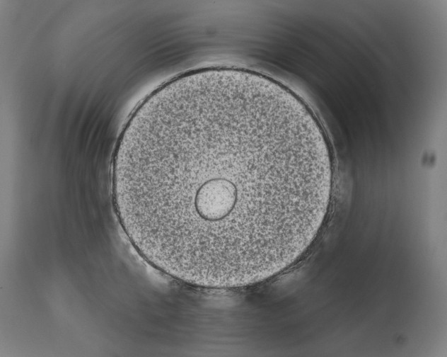 X0000114440807200911131514