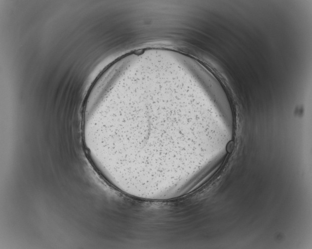 X0000114440808200911131514