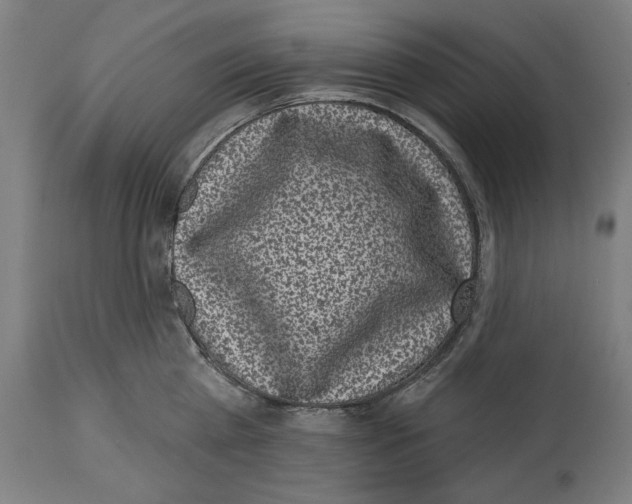 X0000114440809200911131514