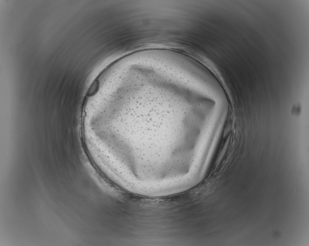 X0000114440811200911131514