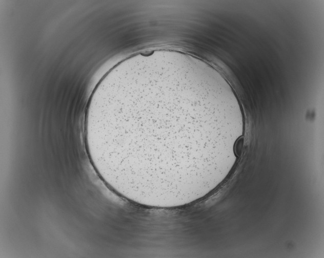 X0000114440812200911131514