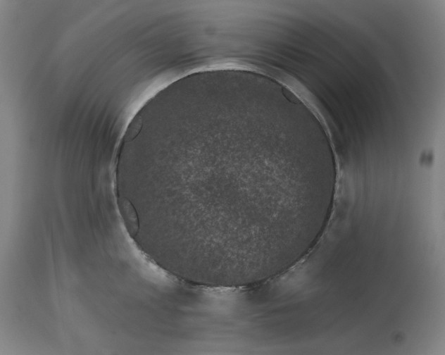 X0000114440813200911131514