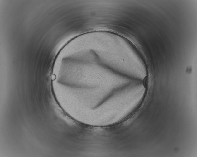 X0000114440814200911131514