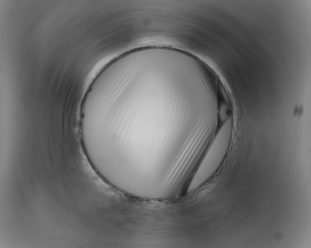 X0000114440815200911131514