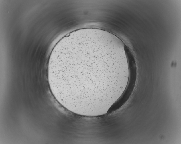 X0000114440816200911131514