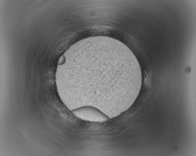 X0000114440819200911131513