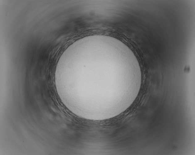 X0000114440820200911131513