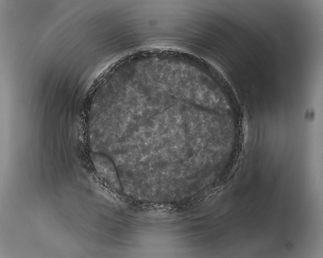 X0000114440823200911131513