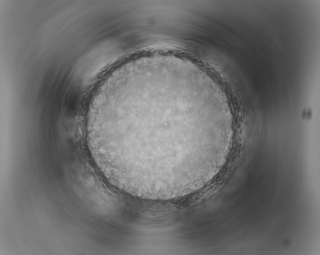 X0000114440824200911131513