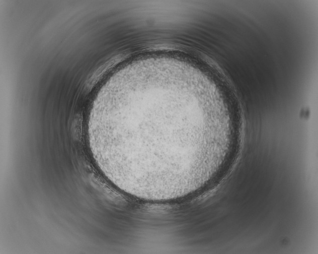 X0000114440825200911131513