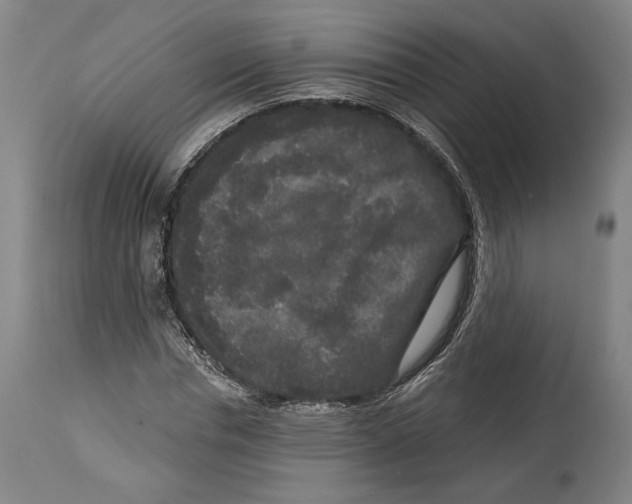 X0000114440826200911131513