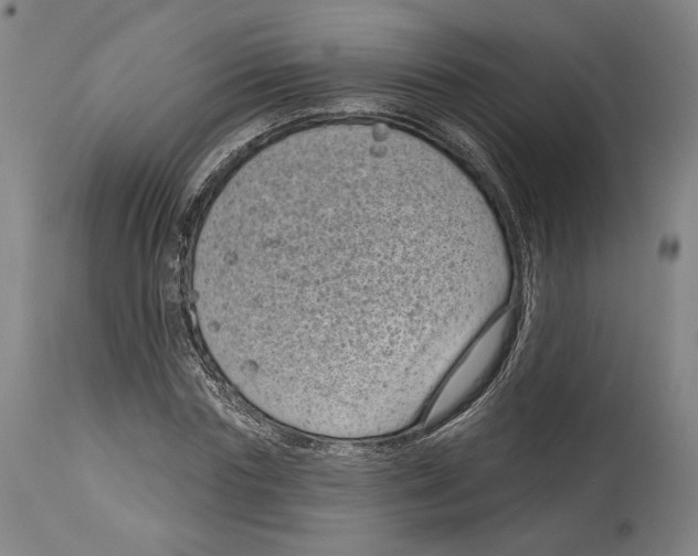 X0000114440827200911131514