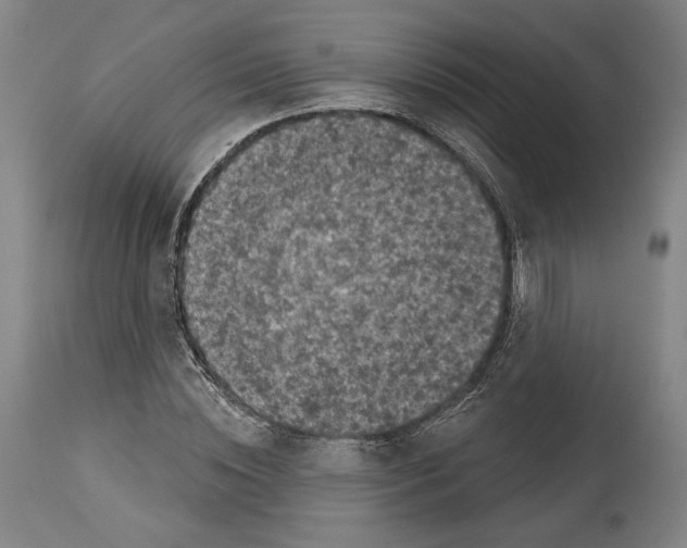 X0000114440828200911131514