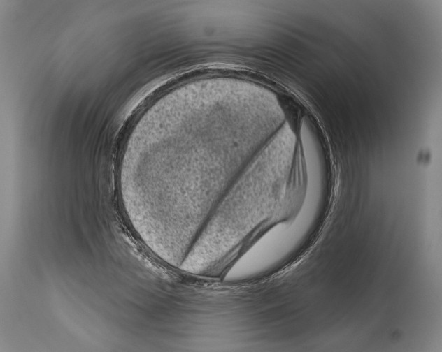 X0000114440829200911131514