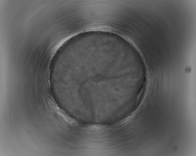 X0000114440830200911131514