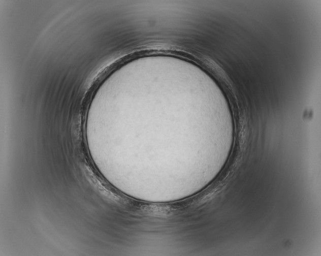 X0000114440831200911131514