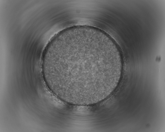 X0000114440832200911131514