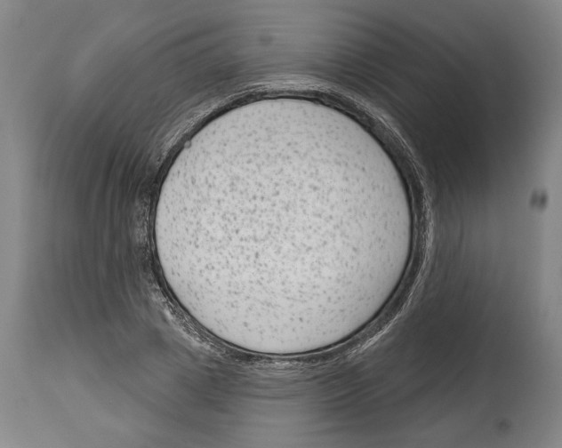 X0000114440833200911131514