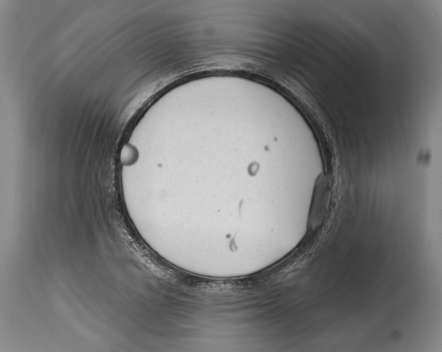 X0000114440834200911131514