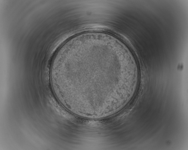 X0000114440835200911131514