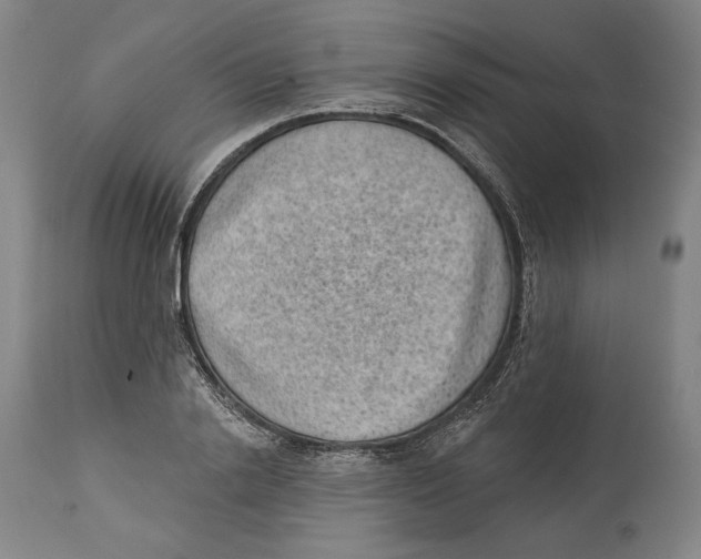 X0000114440838200911131514