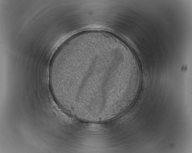 X0000114440839200911131514