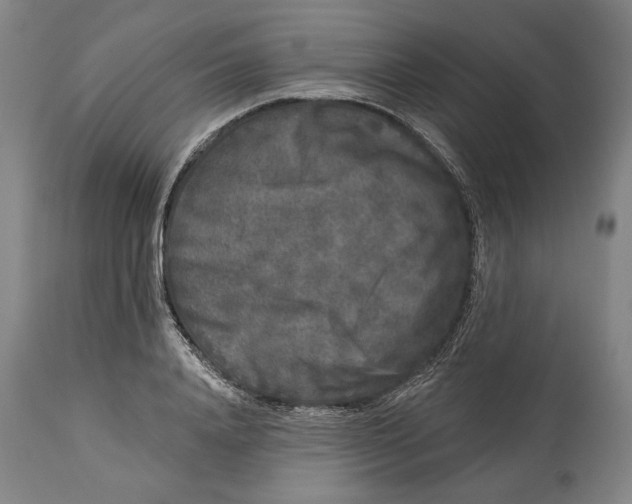 X0000114440840200911131514