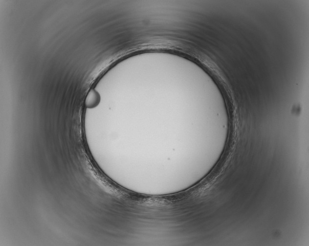 X0000114440842200911131514