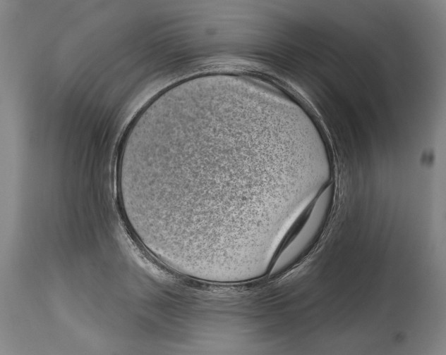 X0000114440843200911131514