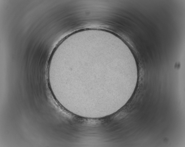 X0000114440848200911131514