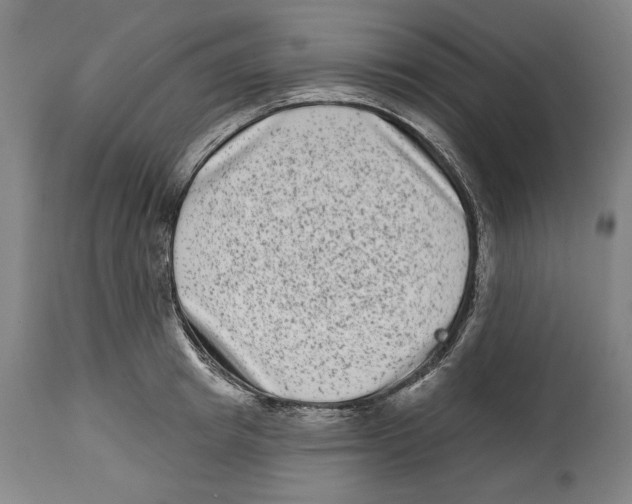 X0000114440849200911131514