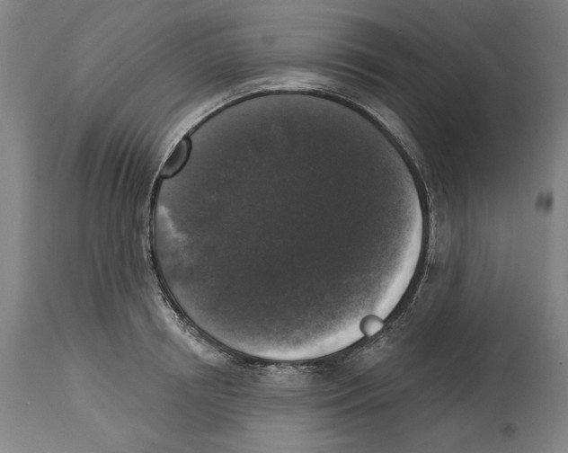 X0000114440850200911131514