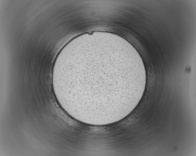 X0000114440852200911131514