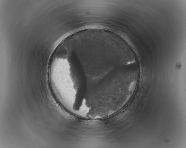 X0000114440853200911131514