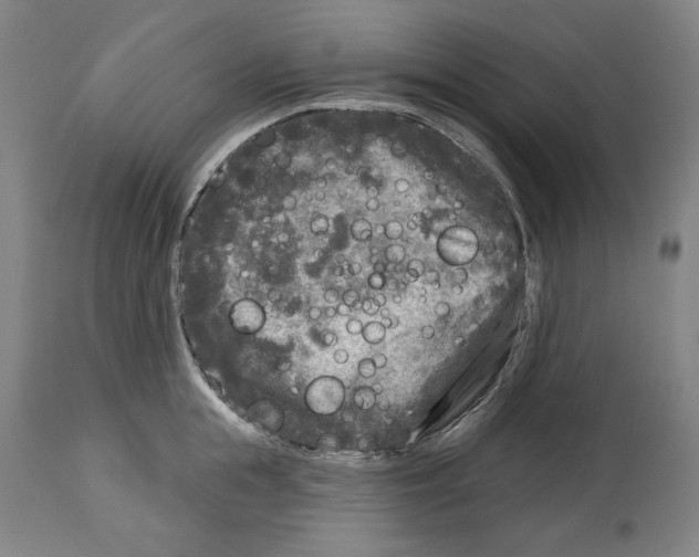 X0000114440855200911131514