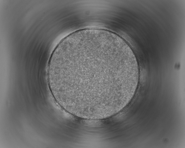 X0000114440856200911131514