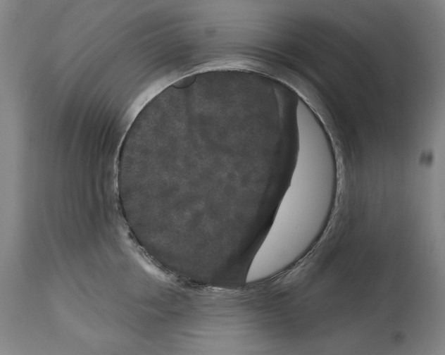 X0000114440858200911131514