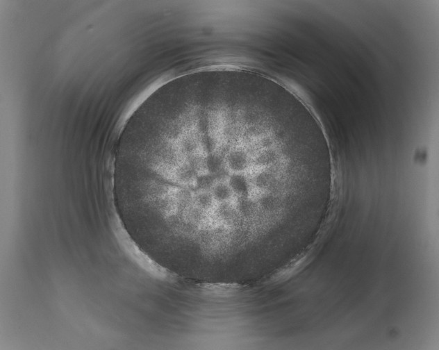 X0000114440859200911131514