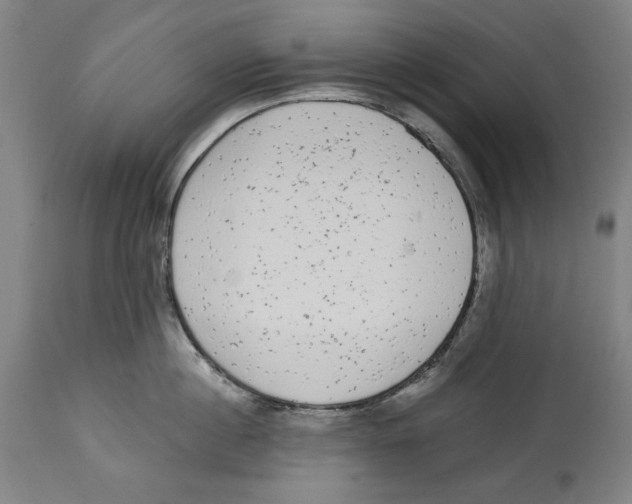 X0000114440860200911131514