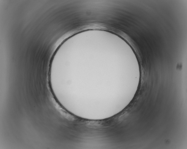 X0000114440861200911131514