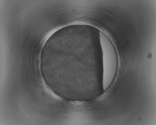 X0000114440862200911131514