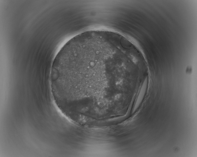 X0000114440863200911131514