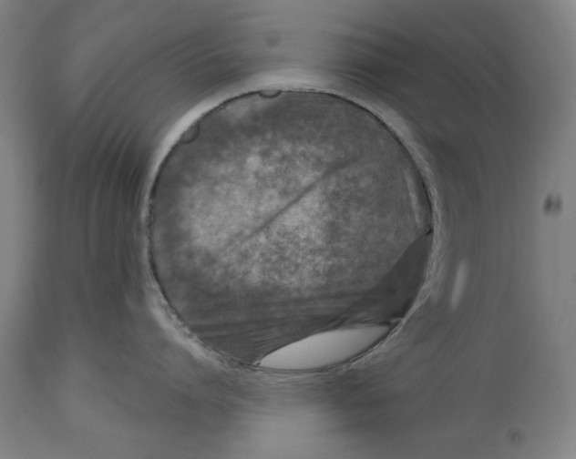 X0000114440864200911131514