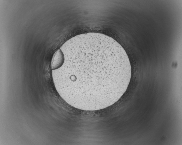 X0000114440866200911131513