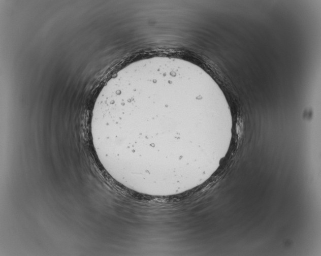 X0000114440867200911131513