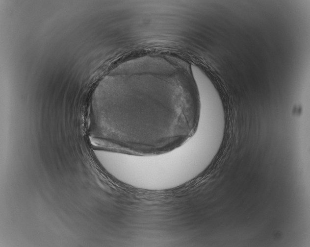 X0000114440868200911131513