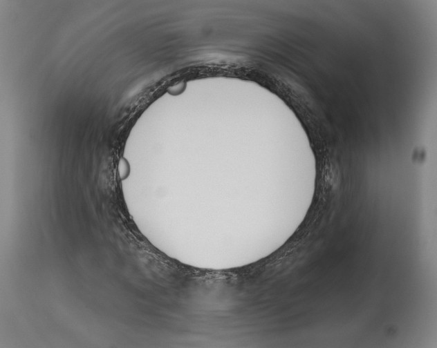 X0000114440869200911131513