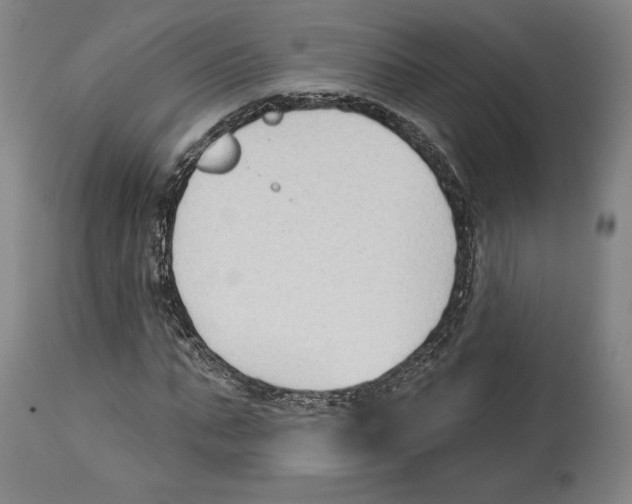 X0000114440871200911131513